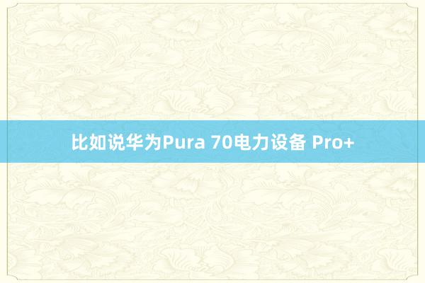 比如说华为Pura 70电力设备 Pro+